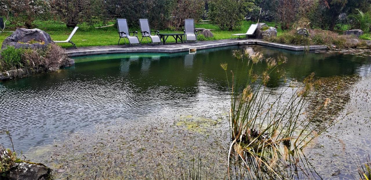 Quinta do Bom Despacho Ponta Delgada - Açores Exterior foto