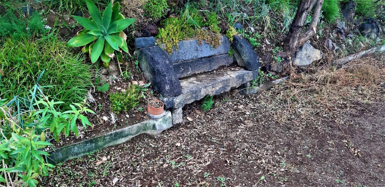 Quinta do Bom Despacho Ponta Delgada - Açores Exterior foto