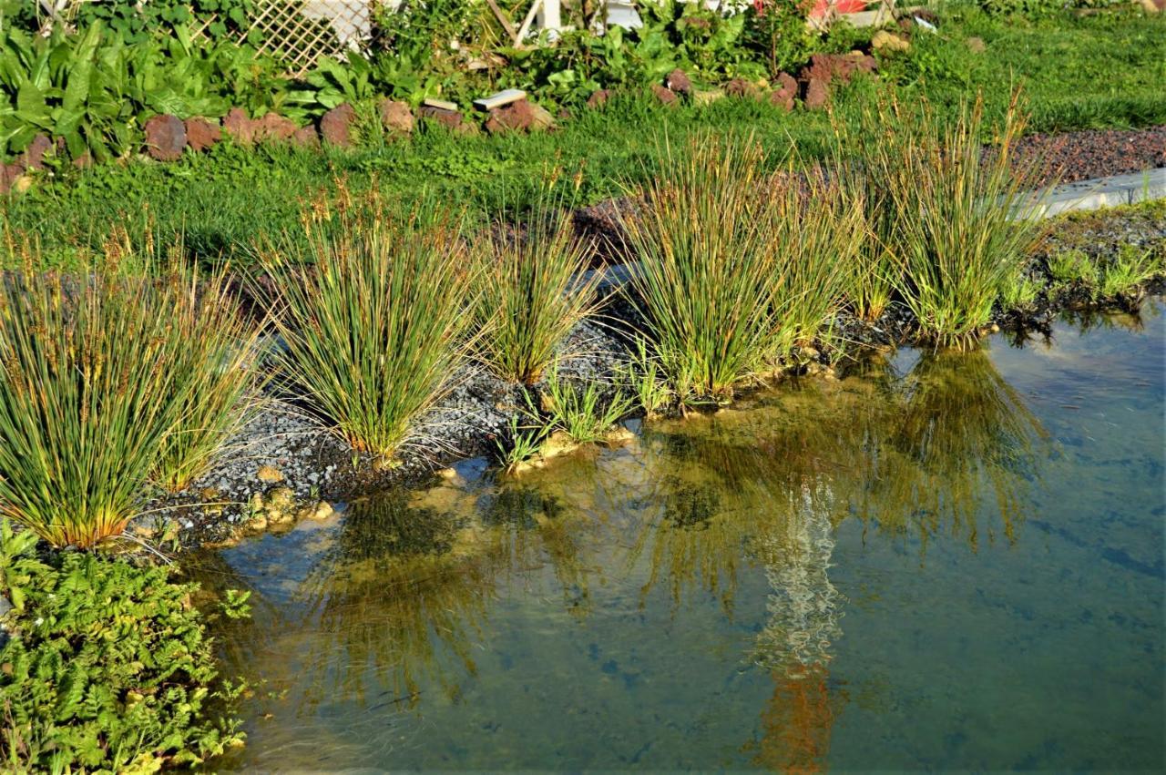 Quinta do Bom Despacho Ponta Delgada - Açores Exterior foto