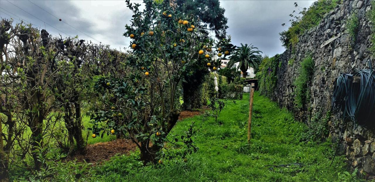 Quinta do Bom Despacho Ponta Delgada - Açores Exterior foto