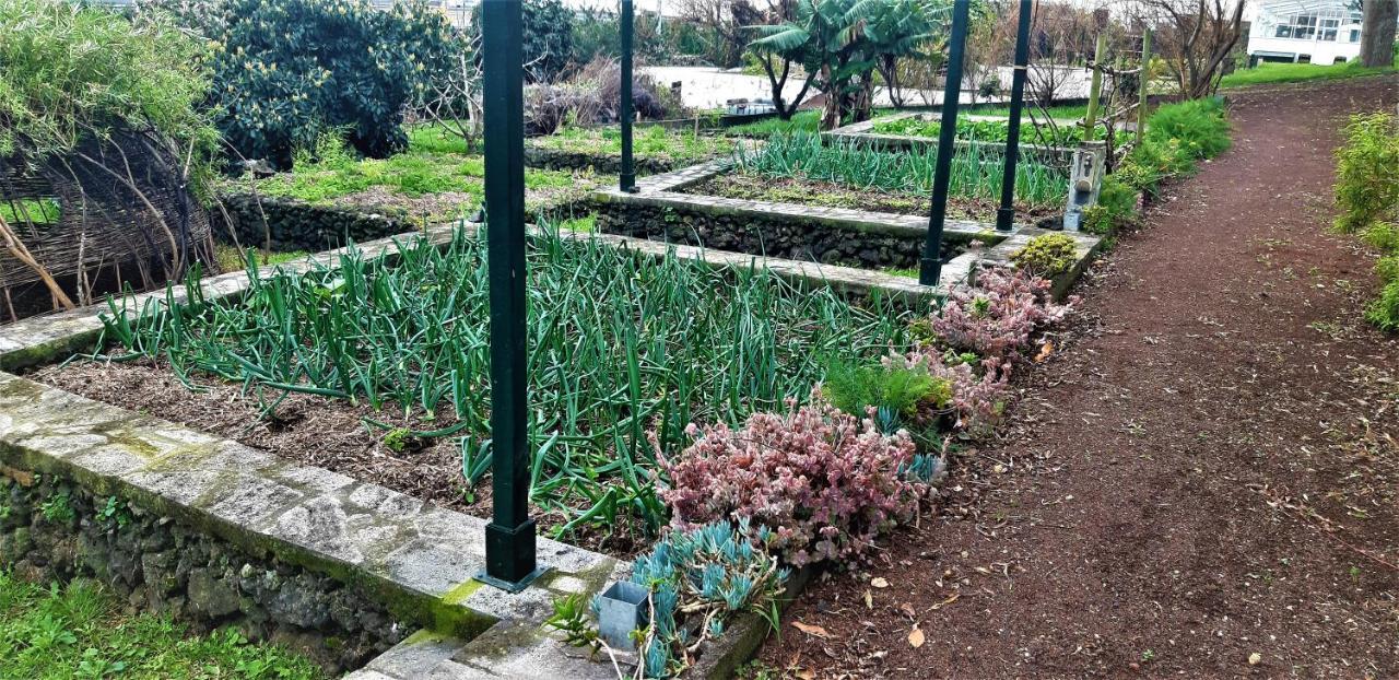 Quinta do Bom Despacho Ponta Delgada - Açores Exterior foto